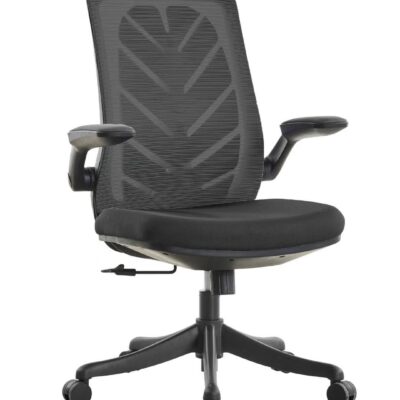 WOODZ Computer Chair - Office Chair – Study Chair – Imported- MESH CHAIR - PALM MODEL